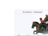 Ninas Galleri Ninas Galleri