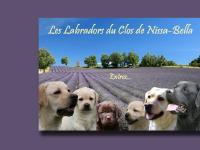 le monde du labrador retriever au clos de nissa-bella BIENVENUE dans notre &eacute;levage...