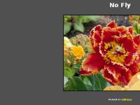 nofly.co.uk