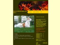 norrbottenspets.se norrbottenspets.se