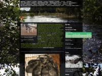 liten norrlyckan.se skärmbild