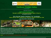 liten northwestwildlifeonline.com skärmbild