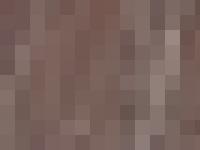 goldenretriever, retriver, golden retriver, goldenretriver goldenretriever, retriver, golden retriver, goldenretriver