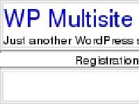 WP Multisite