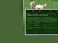 liten numlock.se skärmbild