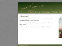 nyckelharpa.se Om mig, Nyckelharpor, Historik