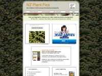 nzplantpics.com New Zealand native, New Zealand plants, New Zealand native plants