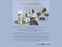 o-cabot-chic 