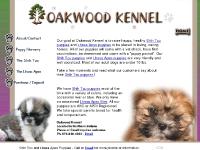 Lhasa Apso puppies, Shih Tzu puppies, Shih Tzu puppies, Lhasa Apso litter  Lhasa Apso puppies, Shih Tzu puppies, Shih Tzu puppies, Lhasa Apso litter