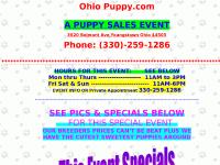 Ohio Puppy is all about Quality Puppies. Check our website today. Ohio Puppy is all about Quality Puppies. Check our website today.