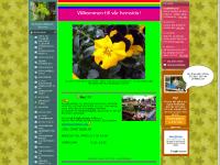 Min förstasida - www.ohlssonsblommor.se