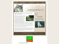 Norwegian Forest Cats, British Shorthair Cats, Links, styleflasher  Norwegian Forest Cats, British Shorthair Cats, Links, styleflasher