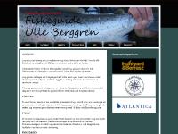 liten olleberggren.se skärmbild