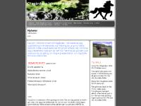 Olsgårdens islandshästar