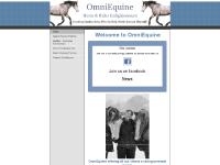 OmniEquine - Horse & Rider Enlightenment OmniEquine - Horse & Rider Enlightenment