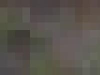 omstudios - www.omstudios.co.uk omstudios - www.omstudios.co.uk