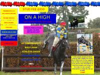 onahighstallions.com stallion at stud, irish draught stallion, breeding