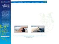 onboardspacompany.co.uk apply for a cruise ship job, massage, beauty therapists onboardspacompany.co.uk apply for a cruise ship job, massage, beauty therapists