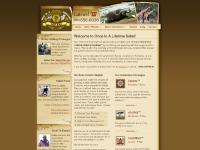 onceinalifetimesafari.com onceinalifetimesafari.com