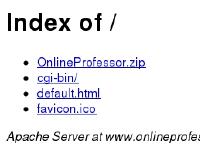 Index of / Index of /