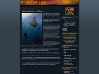 opticalocean.blogspot.com Optical Ocean: Above and Below. opticalocean.blogspot.com Optical Ocean: Above and Below.