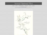 liten optimalflex.se skärmbild liten optimalflex.se skärmbild