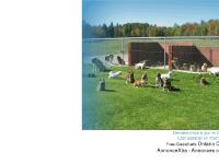 Pictures of Pups for sale, Photos of pups for sale, Chiots à vendre, Cockapoo, Puggle, Beagle, Cocker, Morkie, Schnauzer, Schnoodle, Cockalier, Cavalier King Charles, Poméranien, Pomeranian, Bichon Maltais, Maltese, Bichon Frise, Chihuahua, Poodle, Canich