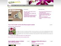 Orchid Care - Growing - Watering - Fertilizing - Temperature - Light - Repotting - Hybrids - Species │ orchid-flowers.com Orchid Care - Growing - Watering - Fertilizing - Temperature - Light - Repotting - Hybrids - Species │ orchid-flowers.com