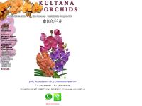 orchid.in.th - orchid