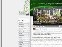 orchid.org.uk north of england orchid society, orchids, houseplants orchid.org.uk north of england orchid society, orchids, houseplants