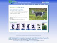 orthopets.co.uk