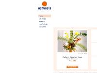 Osmosis Flowers Osmosis Flowers