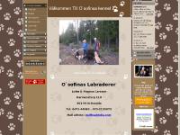 O´sofinas Labradorer - www.osofinas.se O´sofinas Labradorer - www.osofinas.se