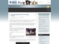 ospcablog.ca Articles, Holiday Animal Videos!, Interesting