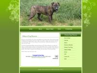 ostararescue.co.uk ostararescue.co.uk