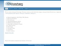 ostashenconsulting.com llc, consulting, ostashen