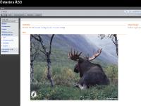 statistik för osteransaso statistik för osteransaso