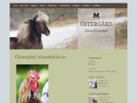 Östergård Islandshästar