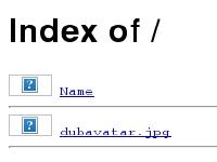Index of / Index of /
