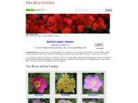 Rosa canina, Rosa carolina, Rosa chinensis, Rosa davidii Rosa canina, Rosa carolina, Rosa chinensis, Rosa davidii