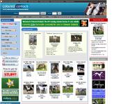 Coloured horses for sale - Coloured Contacts Horses for sale Coloured horses for sale - Coloured Contacts Horses for sale