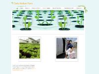 Owls Hollow Farm - Home Owls Hollow Farm - Home