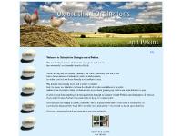Oxfordshire Chickens - Orpingtons & Pekins Oxfordshire Chickens - Orpingtons & Pekins