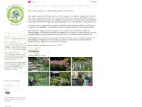 Environment, Feedback, Special Environment, Feedback, Special