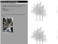 pajalajvk.se STYRELSE