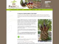 Nos produits, Vitroplants de palmier à huile, Commercialisation, Documentation Nos produits, Vitroplants de palmier à huile, Commercialisation, Documentation