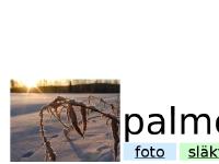 gå till webbplats gå till webbplats