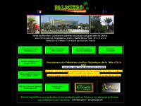 Palmiers Prestige - vente de palmiers et cocotiers d'extérieurs Palmiers Prestige - vente de palmiers et cocotiers d'extérieurs