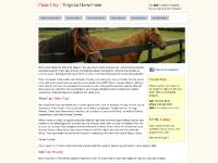 paniccity.com mare daniel, Virginia horse farm, horse farms
