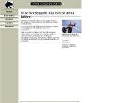 management for hire, due dilligence, dd, affärsutveckling management for hire, due dilligence, dd, affärsutveckling